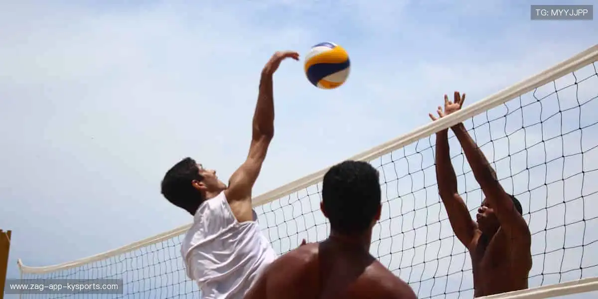 专业周边，品质之选！🎾